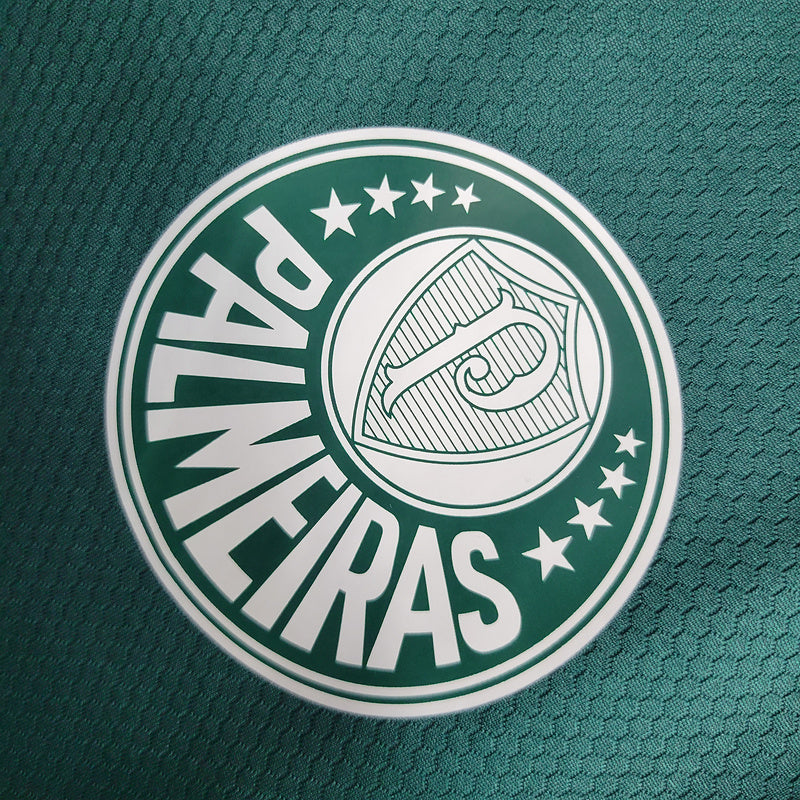 Palmeiras 23-24 treino verde
